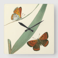 Papillons colorés flottant autour d'une feuille
