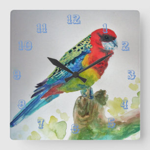 Horloge Carrée Parrot Rosella Oiseaux australiens Aquarelle