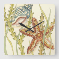 Partie Shell multicolore