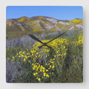 Horloge Carrée Paysage de terrain Fleur sauvage jaune