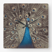 Peacock bleu antique