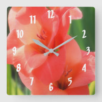 Pêcher les gladiolas