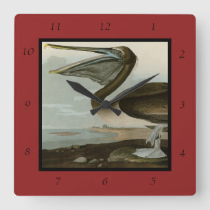 Horloge Carrée Pélican Brown d'Audubon's Birds of America