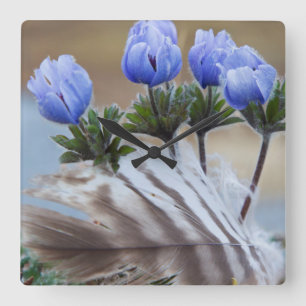 Horloge Carrée Péninsule de Seward, Alaska, Fleurs sauvages arct