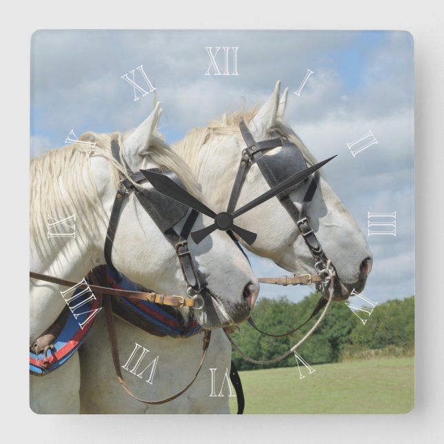 Horloge Carrée Percheron horses (Recto)