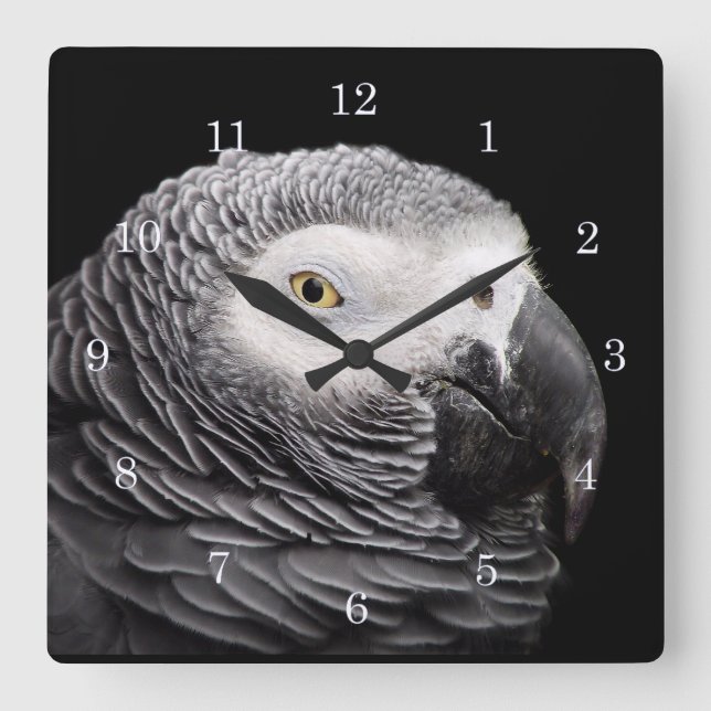 Horloge Carrée Perroquet Gris Africain (Recto)