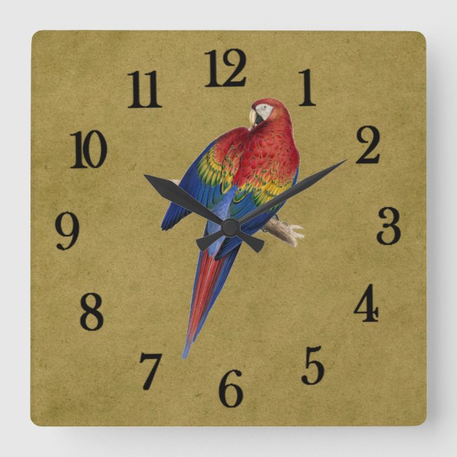 Horloge Carrée Perroquet tropical (Recto)