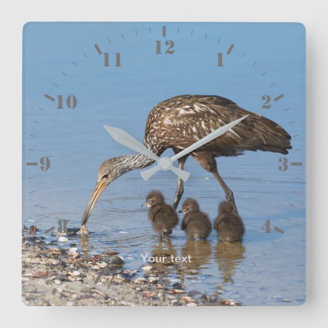 Horloge Carrée Personnalisez le Limpkin avec ses trois bébés (Recto)
