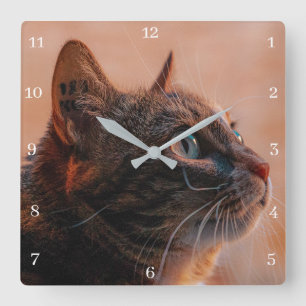 Horloge Carrée Pet Cat