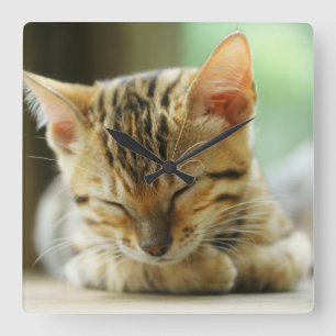 Horloge Carrée Petit Bébé de couchage Kitty