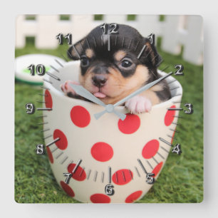 Horloge Carrée Petit chien dans la tasse