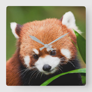 Horloge Carrée Petit Panda Rouge