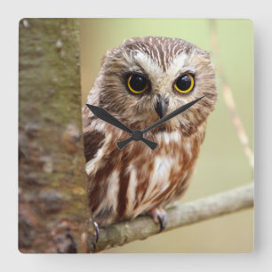 Horloge Carrée Petite chouette Ontariens
