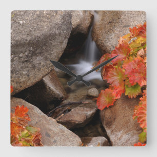 Horloge Carrée Petite crique en automne, Californie