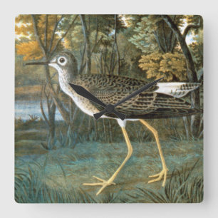 Horloge Carrée Peu de Yellowlegs