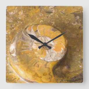 Horloge Carrée Photo de Carved Bowl Made of Fossils en rock
