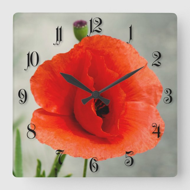 Horloge Carrée Photo de fleur à pavot simple (Recto)