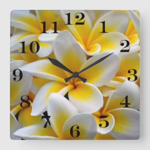 Horloge Carrée Photo de fleur de Plumeria de Frangipani
