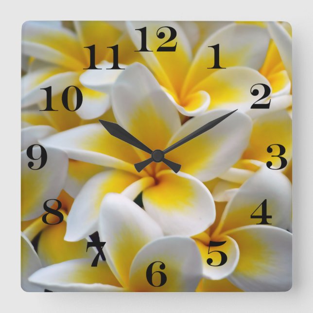 Horloge Carrée Photo de fleur de Plumeria de Frangipani (Recto)