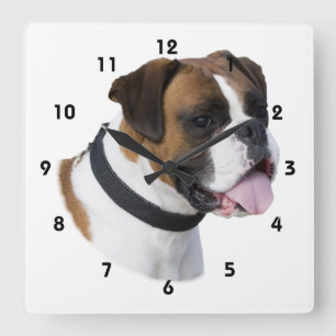 Horloge Carrée Photo de portrait de chien de boxeur