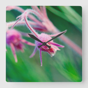 Horloge Carrée Photo macro de fleurs de prairie dans le Montana