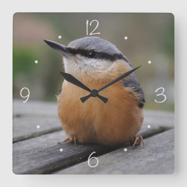 Horloge Carrée Photo Nuthatch (Recto)