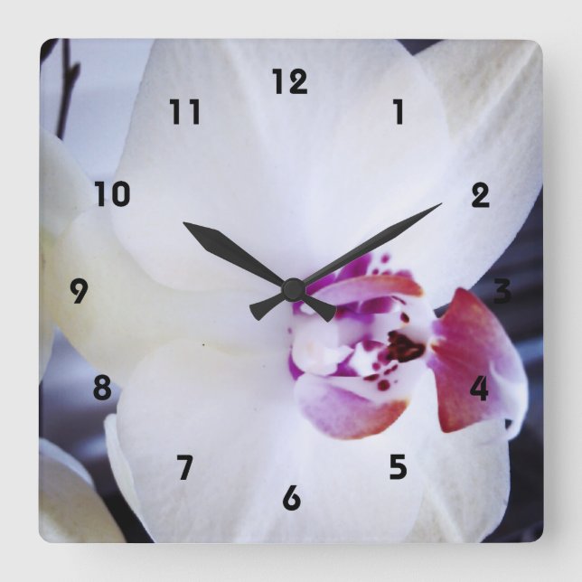 Horloge Carrée Photo Orchidée blanche (Recto)