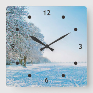 Horloge Carrée Photographe - beautiful Winter Park + your ideas