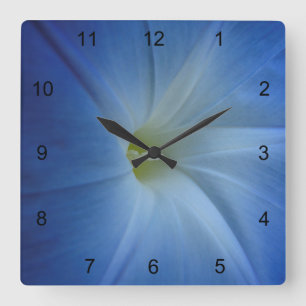Horloge Carrée Photos de Fleur de Matin Bleu Céleste