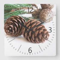 Pine branch and cones