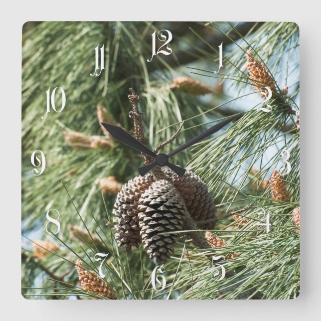 Horloge Carrée Pine cones (Recto)