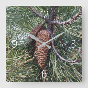 Horloge Carrée Pinecone sur le pin