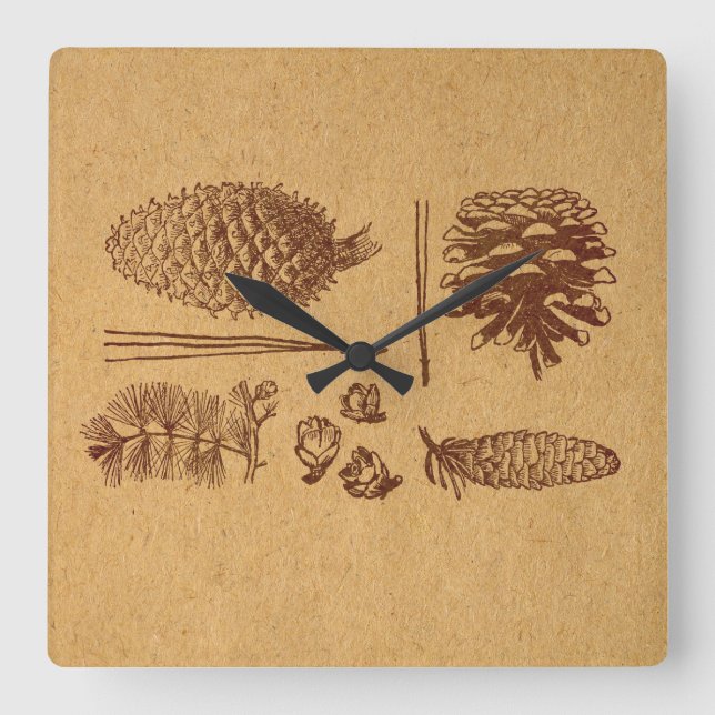Horloge Carrée Pinecone Vintage de cônes de pin illustré (Recto)