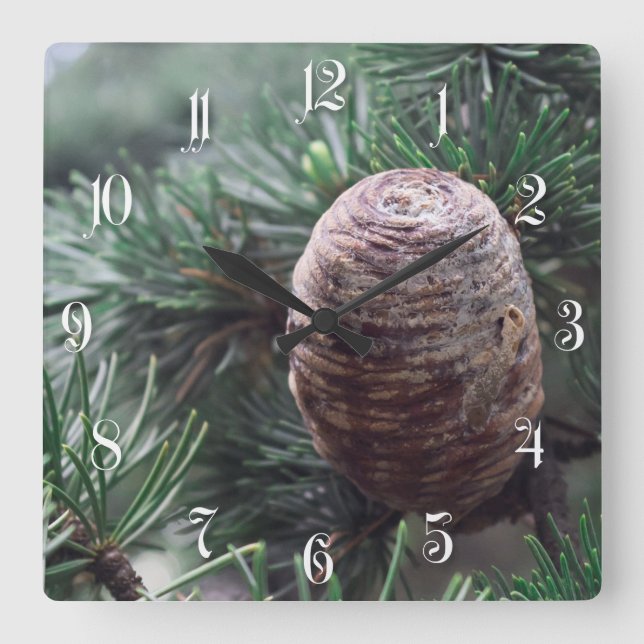 Horloge Carrée Pinecones (Recto)
