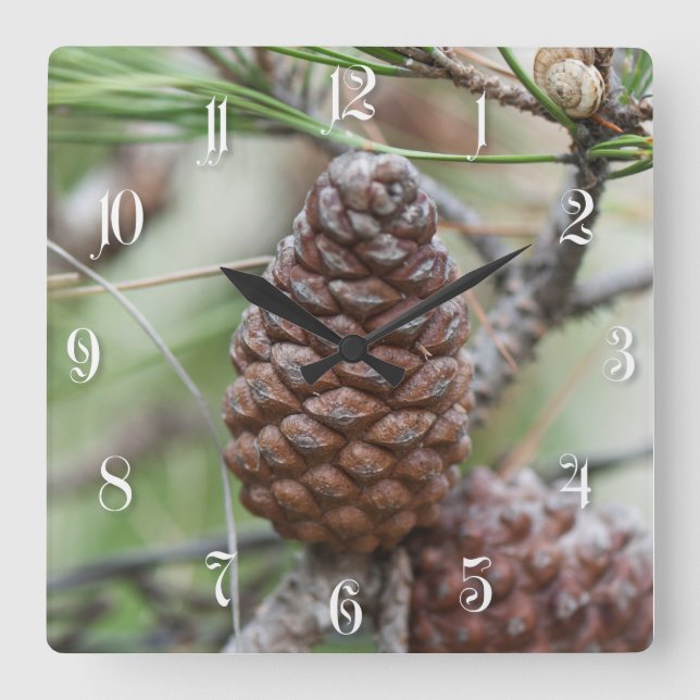 Horloge Carrée Pinecones (Recto)