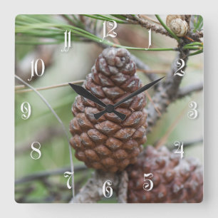Horloge Carrée Pinecones