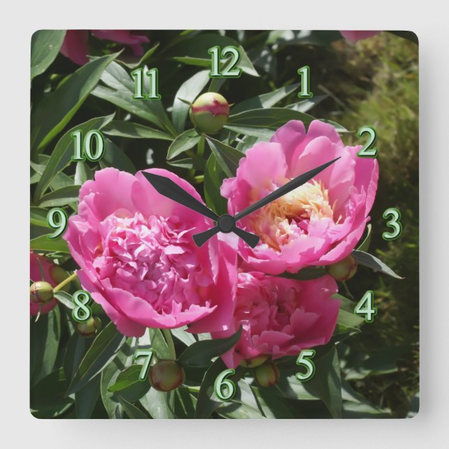Horloge Carrée Pivoines roses foncés (Recto)