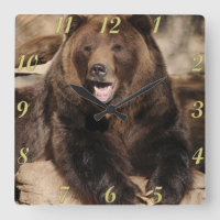 Pointeur Grizzly