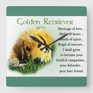 Horloge Carrée Poison de Golden Retriever