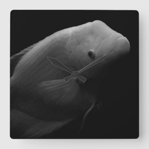 Horloge Carrée Poisson dans un réservoir - Photographie d'art noi