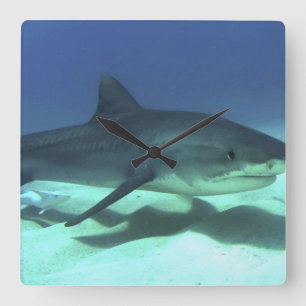Horloge Carrée Poisson de requin Océan tropical Destin Cadeaux
