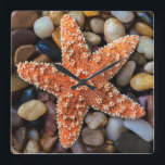 Horloge Carrée Poisson-étoile sur rochers<br><div class="desc">Poisson d'étoiles sur rochers</div>