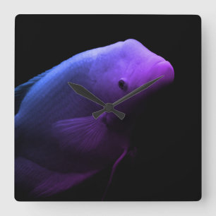 Horloge Carrée Poissons dans les réservoirs - Photo d'art