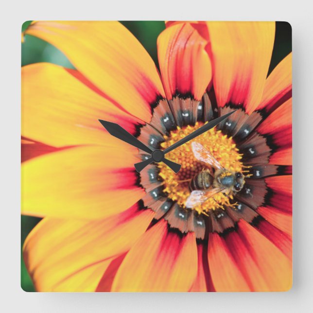 Horloge Carrée Pollen de close-up extrême de A Bee Collecting (Recto)