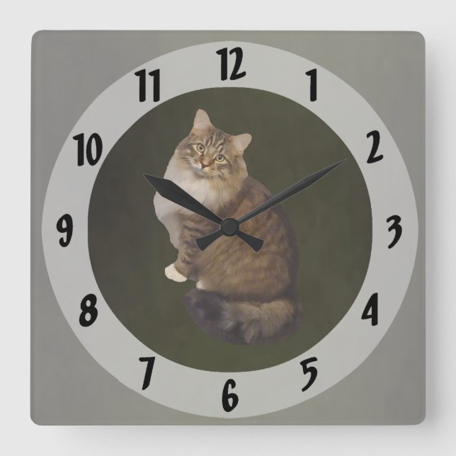 Horloge Carrée Portrait de chat Maine Coon (Recto)