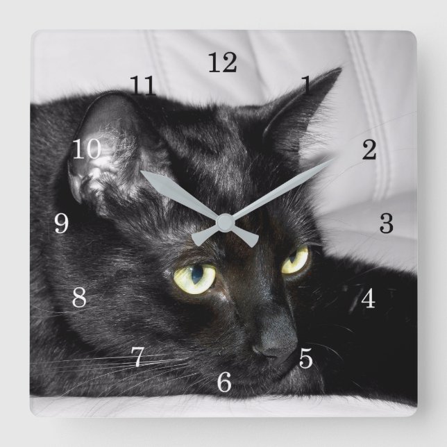 Horloge Carrée Portrait de chat noir mignon (Recto)