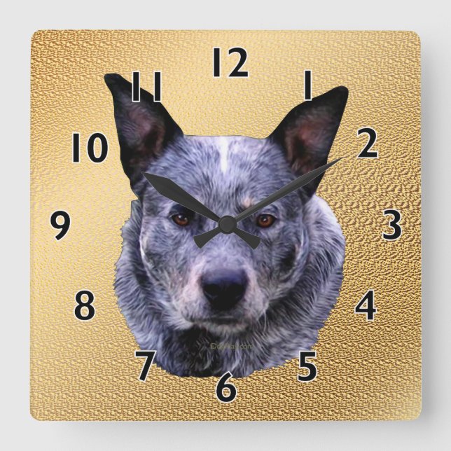 Horloge Carrée Portrait de chien de bétail australien (Recto)