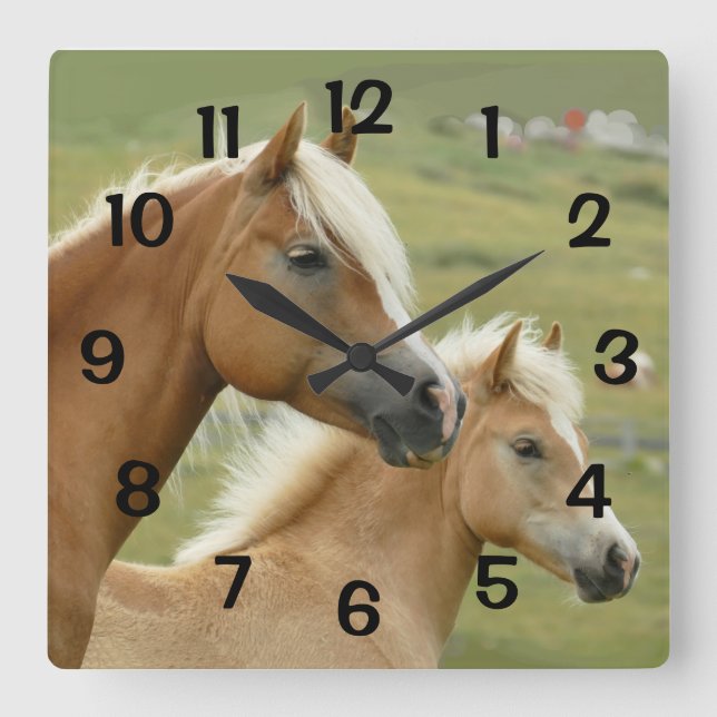 Horloge Carrée Portrait de Horses Palomino Mother et Foal (Recto)