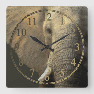 Horloge Carrée Portrait éléphant