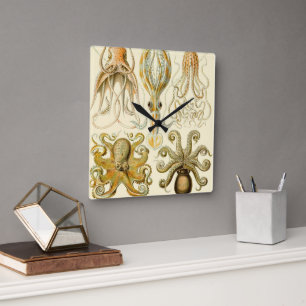 Horloge Carrée Poulpe vintage Gamochoania Squid par Ernst Haeckel